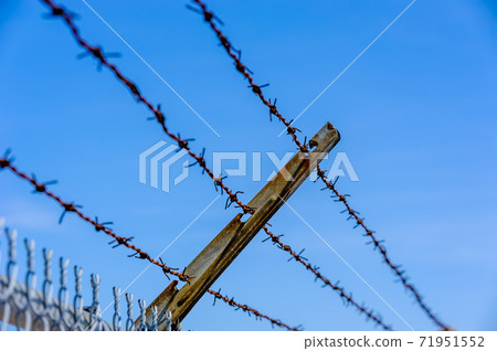 Focus on rusted barbed wires against blue sky. 71951552