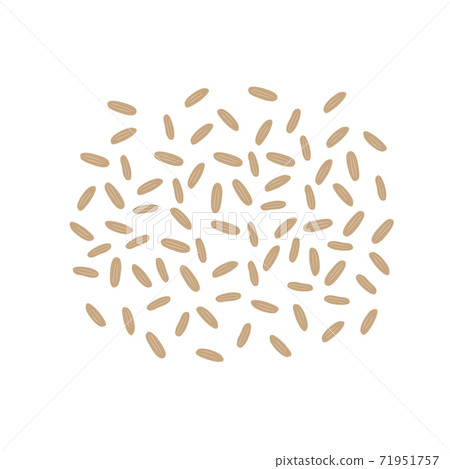 Brown rice seeds isolated on white background. Whole grain rice. Healthy food. Vector illustration 71951757