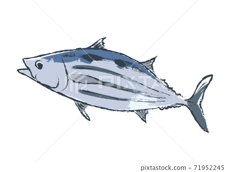 魚的插圖，好像用刷子繪製 71952245