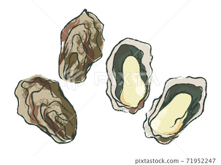 Oyster oyster watercolor hand-painted brush - Stock