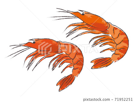 Illustration of shrimp like a brush Illustration of shrimp like a brush 71952251