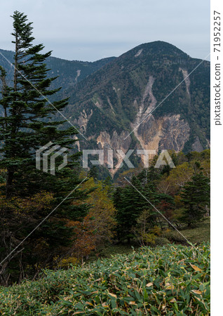 奧日光山溫泉 71952257