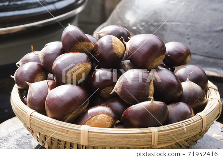 夜晚，室外 71952416