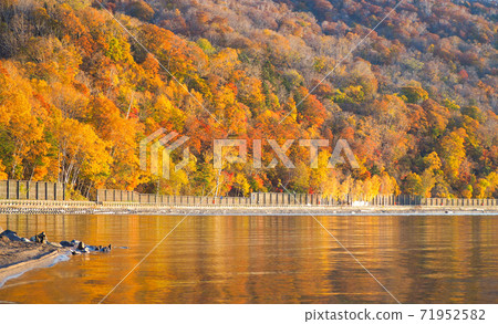 Autumn leaves and lake illuminated by the morning sun Autumn leaves and lake illuminated by the morning sun 71952582