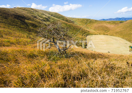 大黑山的秋天 大黑山的秋天 71952767