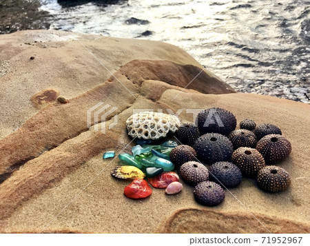 A gift from the sea 71952967
