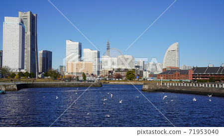 Yokohama, Minatomirai district and seagulls Yokohama, Minatomirai district and seagulls 71953040