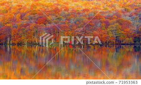 Kinshu Tsutanuma Kinshu Tsutanuma 71953363