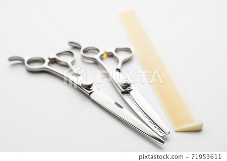 Beauty beauty image 71953611