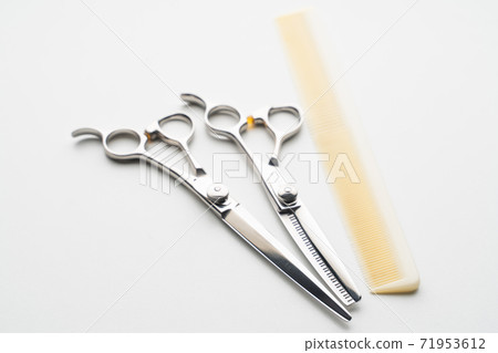 Beauty beauty image Beauty beauty image 71953612