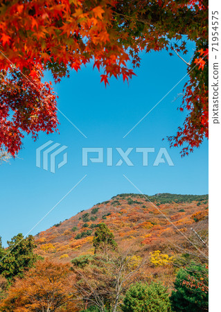 Autumn mountain with red maple at Beomeosa temple in Busan, Korea Autumn mountain with red maple at Beomeosa temple in Busan, Korea 71954575