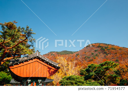 Beomeosa temple with autumn mountain in Busan, Korea Beomeosa temple with autumn mountain in Busan, Korea 71954577