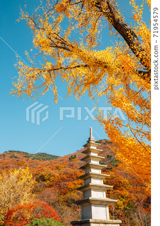 Beomeosa temple with autumn mountain in Busan, Korea 71954579