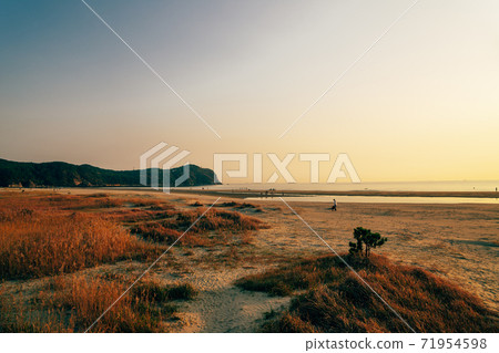 Sunset of Dadaepo Beach park in Busan, Korea 71954598