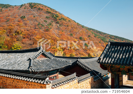 Beomeosa temple with autumn mountain in Busan, Korea Beomeosa temple with autumn mountain in Busan, Korea 71954604