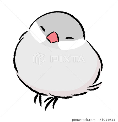 Sleepy Java Sparrow Silver - Stock Illustration [71954633] - PIXTA
