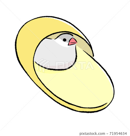 Java sparrow silver that slippers liked 71954634