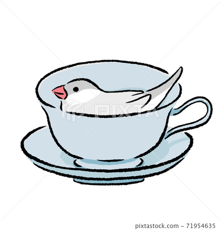 Java sparrow silver that the tea cup liked Java sparrow silver that the tea cup liked 71954635