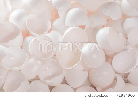 大量的雞蛋殼 大量的雞蛋殼 71954960