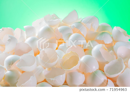Large amount of chicken egg shells 71954963