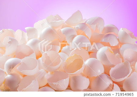 大量的雞蛋殼 71954965