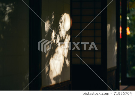 Autumn leaves in shoji Japanese autumn 71955704