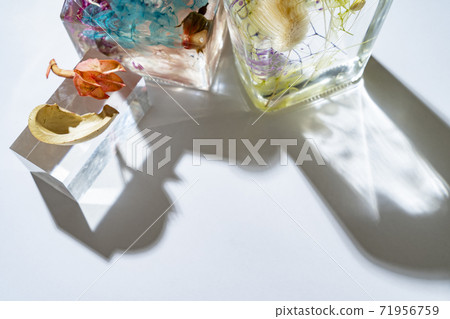 多彩的草藥瓶和陰影 71956759