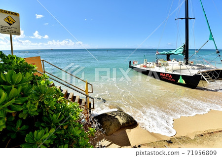 Holidays in Hawaii 71956809