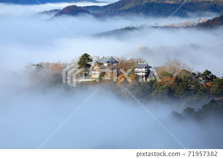 空中山城6146- 71957382