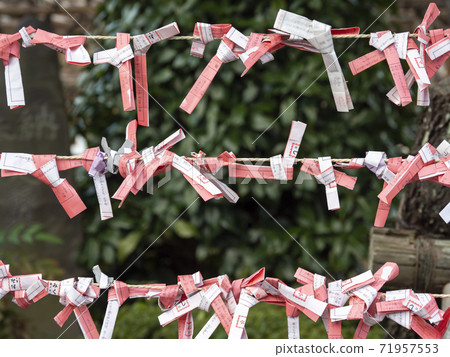 Omikuji Knotting Place, Kameido Tenjin Shrine, Koto Ward 71957553