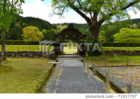 Ichijodani Asakura Clan Ruins Ichijodani Asakura Clan Ruins 71957707