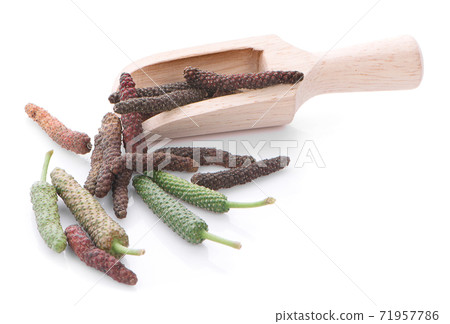 Long pepper or Pipli or Dipli (Piper longum) isolated on white background Long pepper or Pipli or Dipli (Piper longum) isolated on white background 71957786