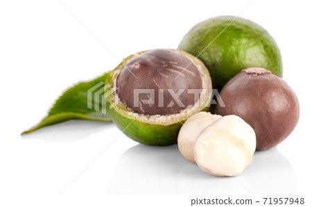 Macadamia nut on white background 71957948