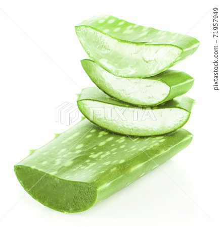 Aloe Vera isolated on white background 71957949