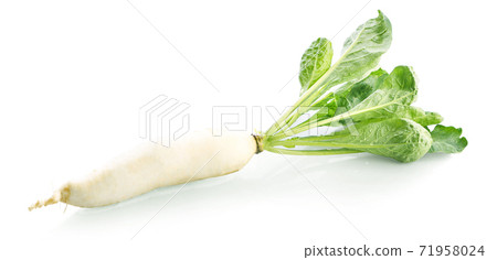 fresh white radish with slices isolated on white background. fresh white radish with slices isolated on white background. 71958024