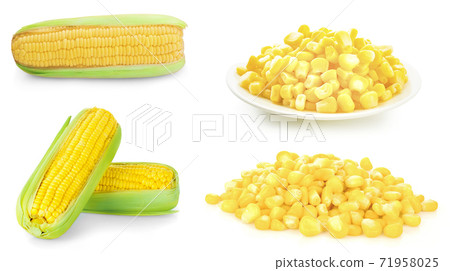 Corn isolated on white background 71958025