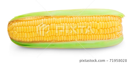 Corn isolated on a white background 71958028