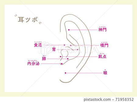 耳朵 美 美容 71958352