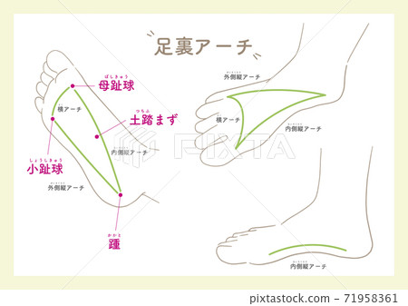腳 英尺 爪子 71958361