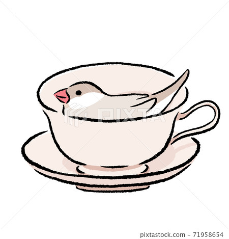 Java sparrow cinnamon cream that the tea cup liked - Stock Illustration ...