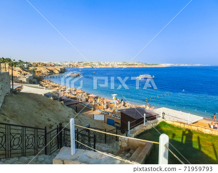 Red sea beach at Egypt, Sharm el-Sheikh Red sea beach at Egypt, Sharm el-Sheikh 71959793