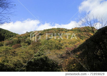 熊本縣菊池市菊池谷 熊本縣菊池市菊池谷 71959829