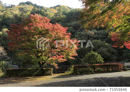 熊本縣菊池市菊池谷 熊本縣菊池市菊池谷 71959846