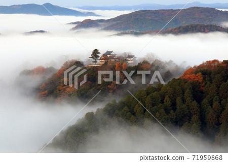 天空中的山城5486 天空中的山城5486 71959868