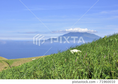 View from Momoiwa Observatory, Rebun Island, Hokkaido View from Momoiwa Observatory, Rebun Island, Hokkaido 71960010