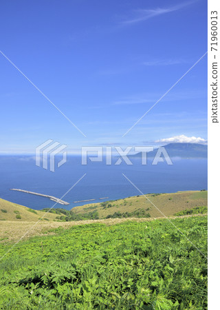 View from Momoiwa Observatory, Rebun Island, Hokkaido View from Momoiwa Observatory, Rebun Island, Hokkaido 71960013