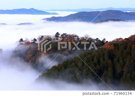 山城在天空5408 山城在天空5408 71960134