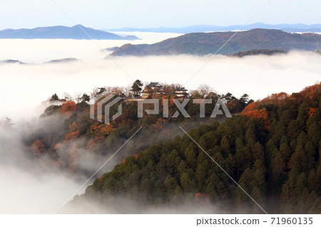 山城在天空中5411 山城在天空中5411 71960135