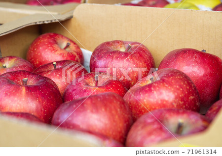 盒裝聖富士 盒裝聖富士 71961314