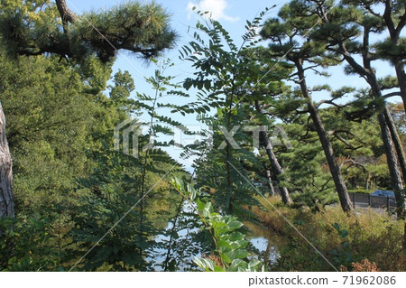 Sotobori of the Tomb of Emperor Nintoku, Sakai City Sotobori of the Tomb of Emperor Nintoku, Sakai City 71962086